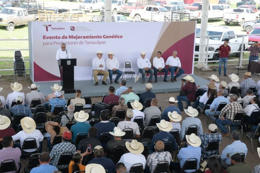 3 Dan impulso a la ganaderia con sem