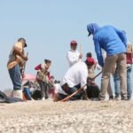 4 Suma Tamaulipas esfuerzos