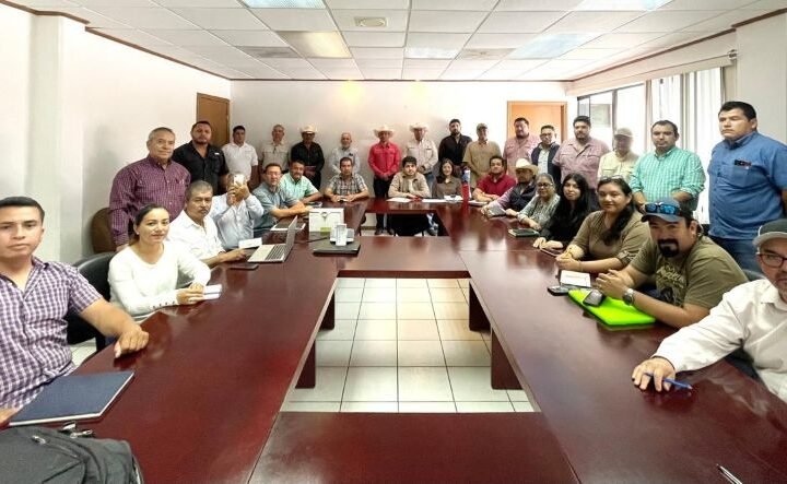 5 Actualizacion de extensionistas clave