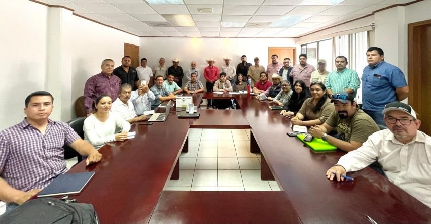 5 Actualizacion de extensionistas clave