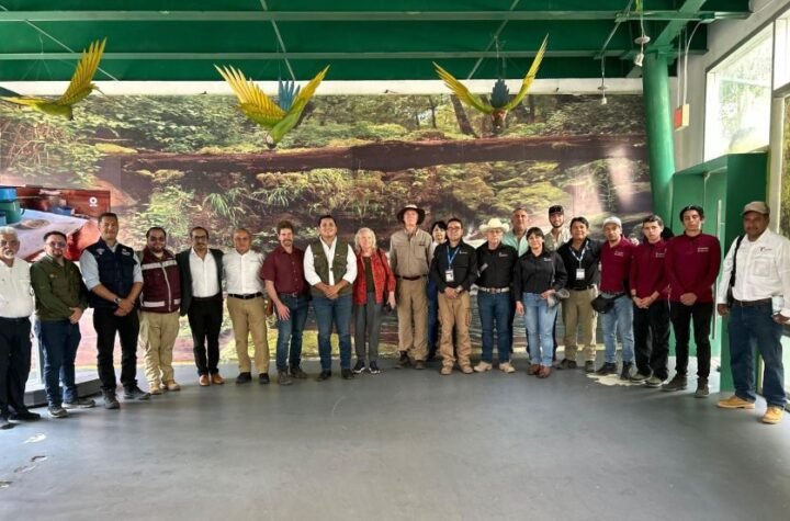 5 Coordinan estrategia para evitar propag