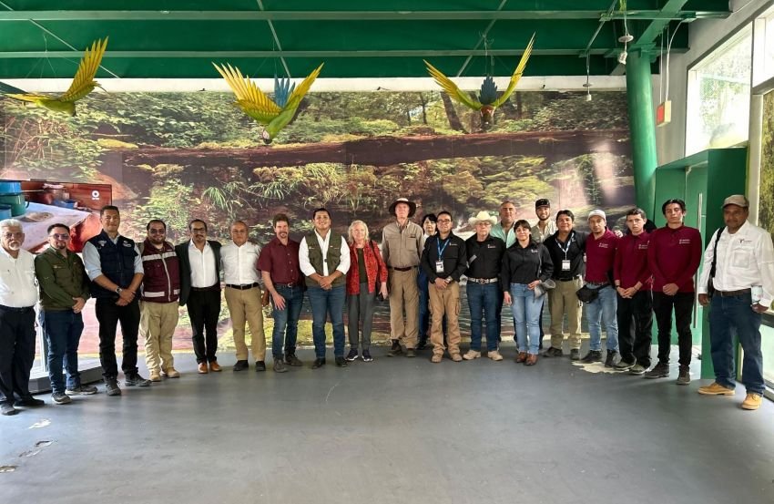 5 Coordinan estrategia para evitar propag