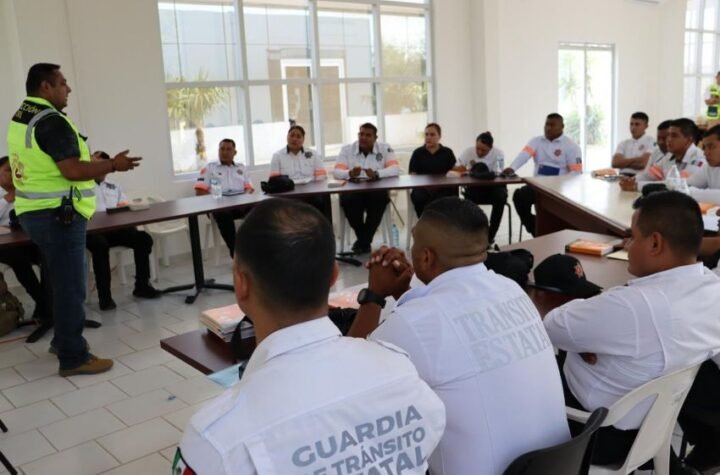 6 Profesionalizacion y evaluacion de fuerzas de seg