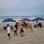 Agrupamiento Montado brinda segurid