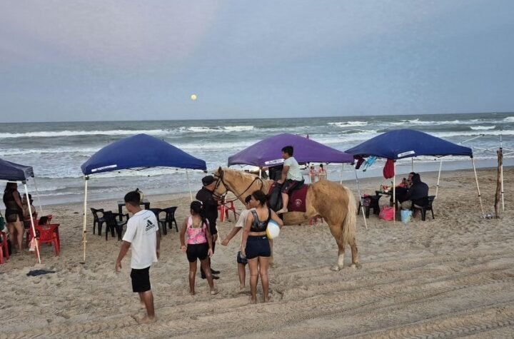 Agrupamiento Montado brinda segurid