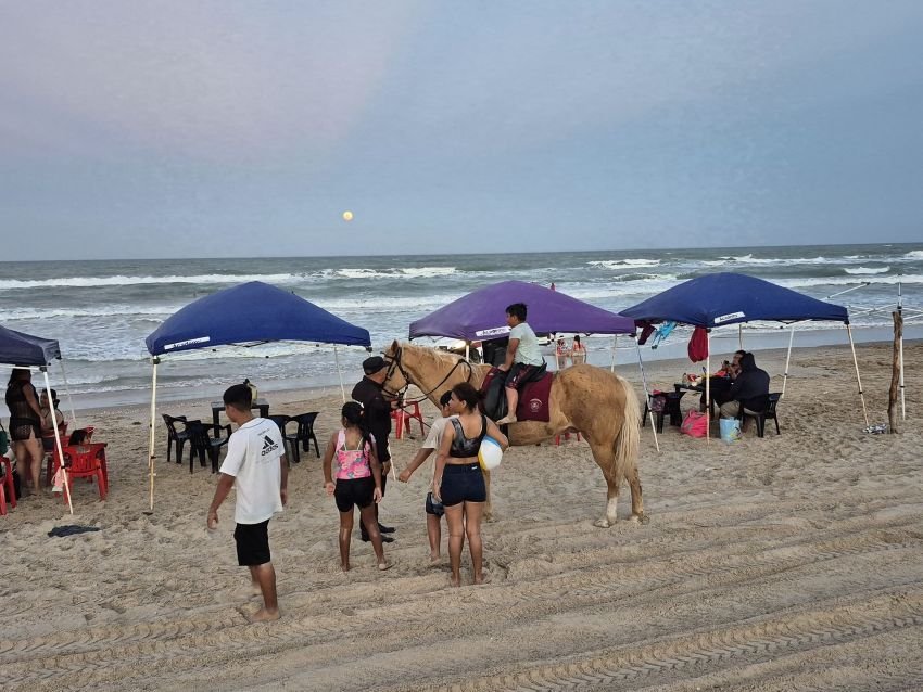 Agrupamiento Montado brinda segurid