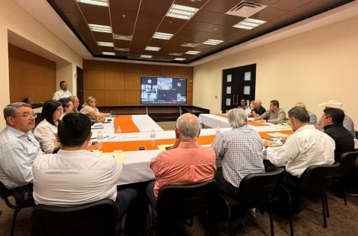 Coordinan esfuerzos para consolidar pro