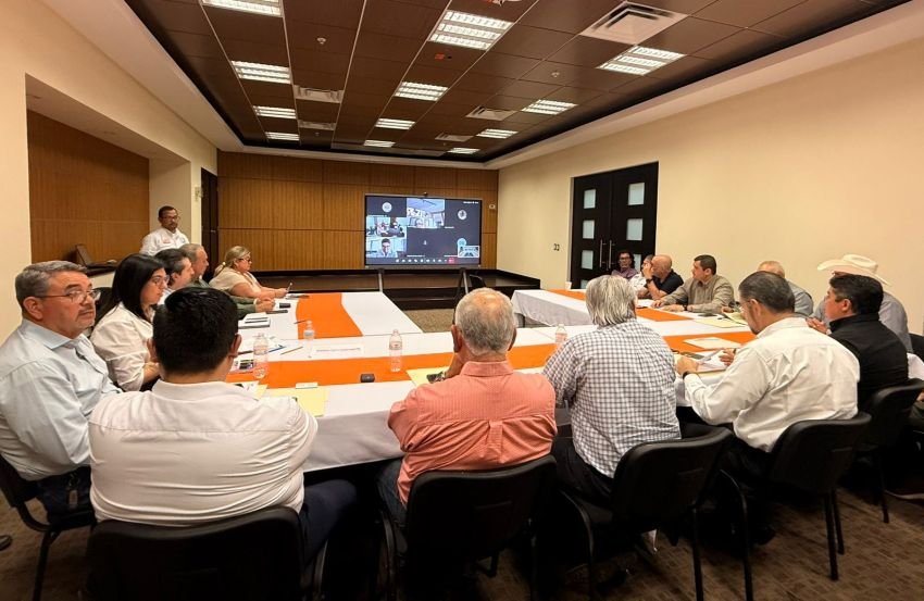 Coordinan esfuerzos para consolidar pro