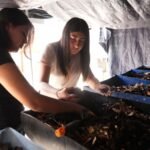 Desarrolla la UAT biofertilizantes liquidos a