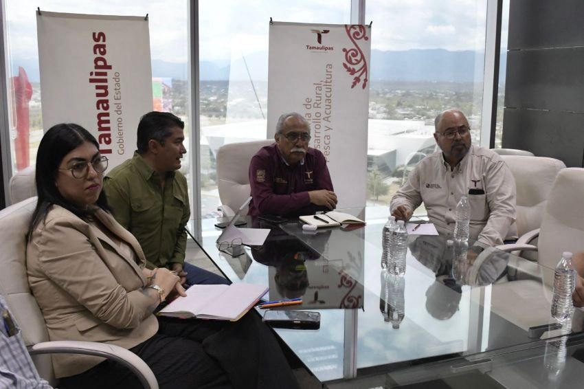 Estructura Tamaulipas proyecto para elevar la producción de carne de calidad 1 Estructura Tamaulipas proyecto p