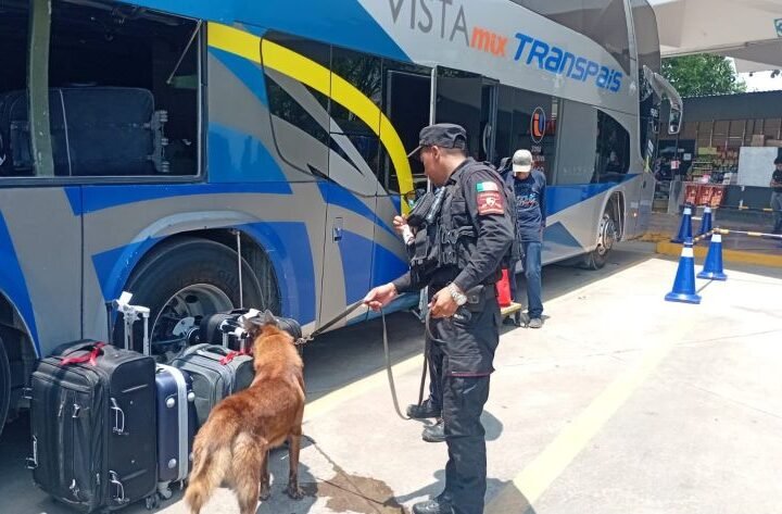 Fortalece Guardia Estatal vigilancia en centra