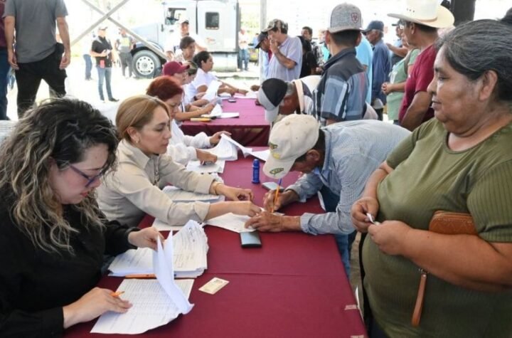 Impulsan productividad citricola con apertura d