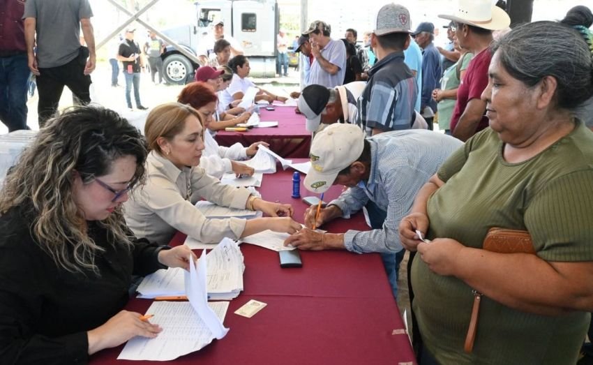 Impulsan productividad citricola con apertura d