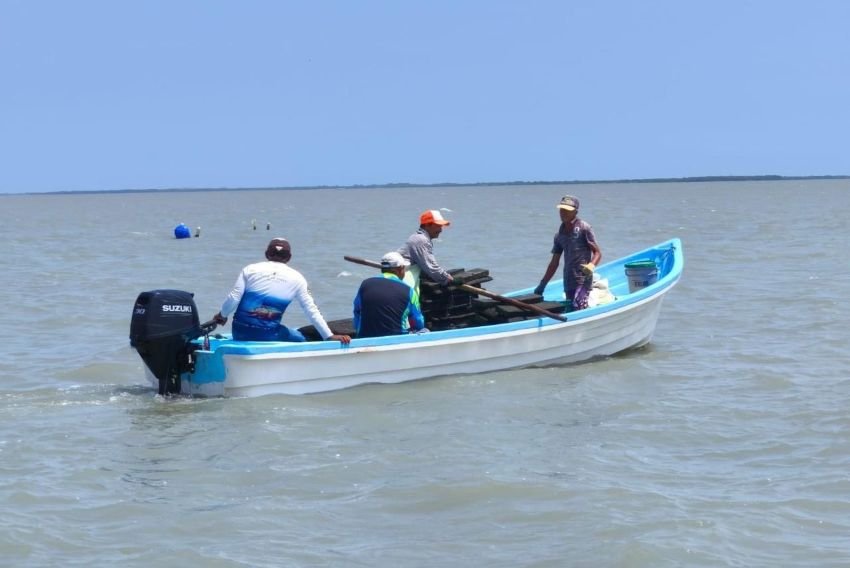 Refuerzan acciones para el crecimiento sostenible del ostión en Aldama 1 Refuerzan acciones para el crec