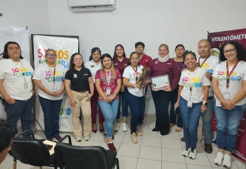 3 Adolescentes en conflicto con la Ley Penal elaboran y