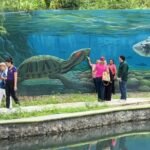 4 Cumpliendo suenos con turism