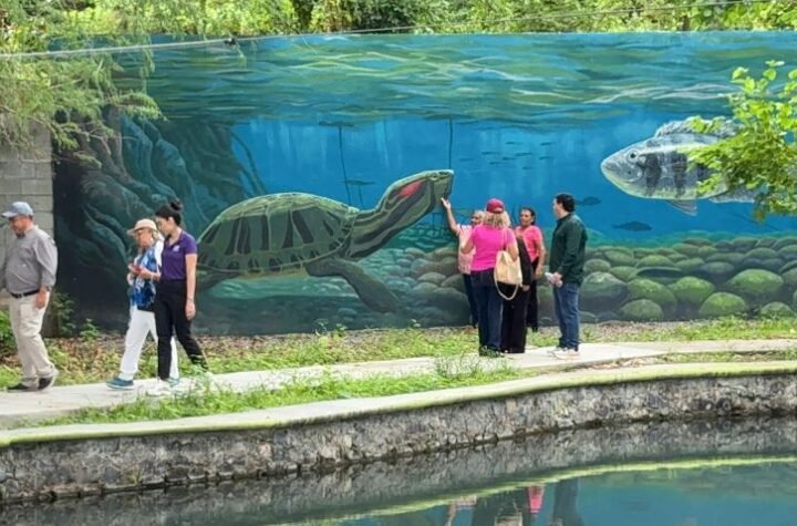 4 Cumpliendo suenos con turism