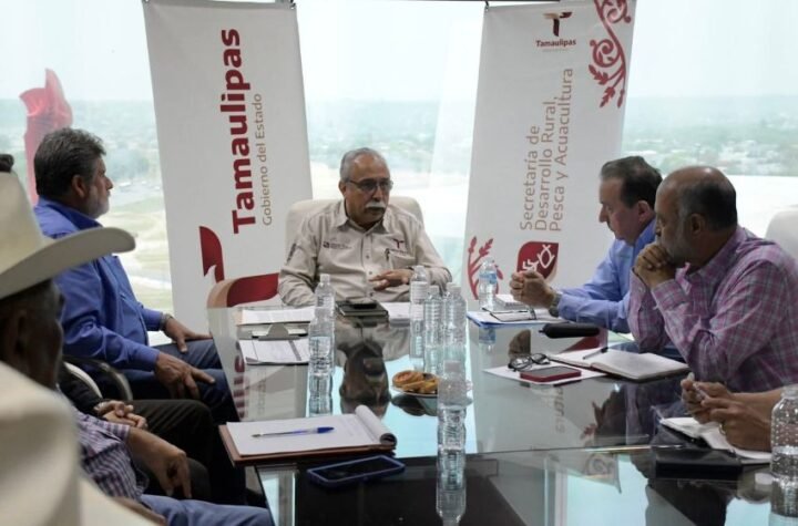 Analizan estrategias para diversifi