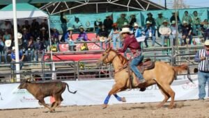 Conquistan tamaulipecos cuatro oros en la Olimpiada