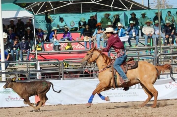 Conquistan tamaulipecos cuatro oros en la Olimpiada