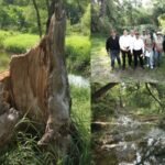 Realiza Gobierno de Tamaulipas dia