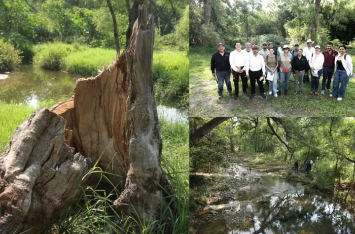 Realiza Gobierno de Tamaulipas dia