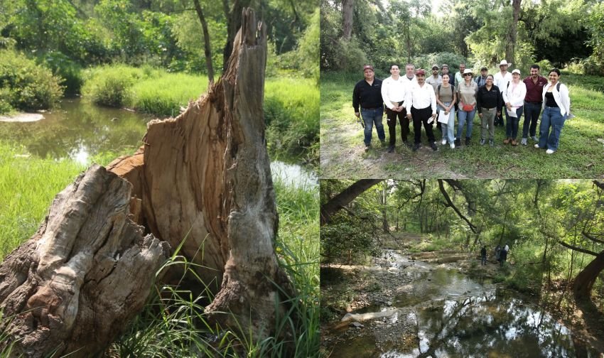 Realiza Gobierno de Tamaulipas diagnóstico ambiental en el río San Marcos 1 Realiza Gobierno de Tamaulipas dia