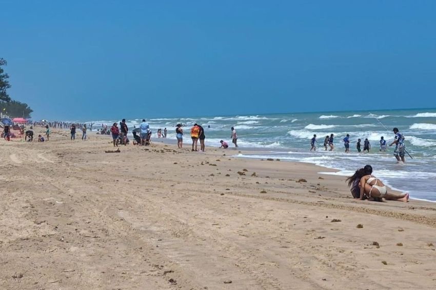 5 Tamaulipas se prepara