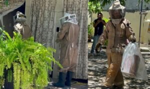 Reportan gigantesco panal de abejas cerca de viviendas en Ciudad Madero