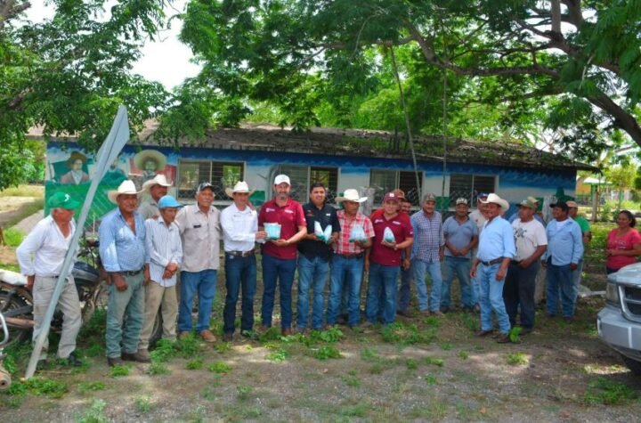 Trabajo coordinado protege a be