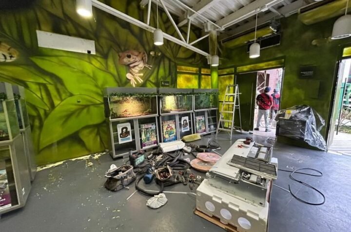 Modernizan el Centro Interpretativo Ecológico de Gómez Farías 5 6 Modernizan el Centro Interpret