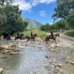 Agrupamiento Montado de la Guardia