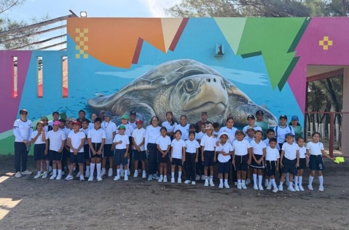 Fortalece Tamaulipas educación ambiental mediante liberación de crías de tortuga lora 1 Fortalece Tamaulipas educacion ambiental mediante liberacion de crias de tortuga lora