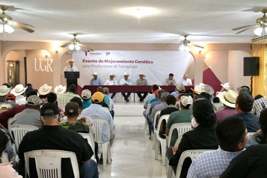 Impulsa Gobierno de Tamaulipas competitividad del sector ganadero 1 Impulsa Gobierno de Tamauli
