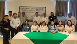 Impulsa Tamaulipas acciones