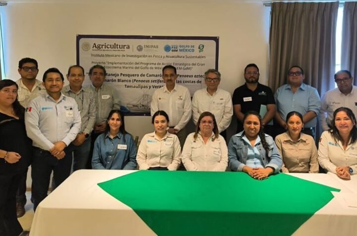 Impulsa Tamaulipas acciones
