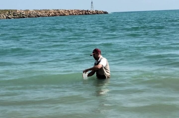 Playas de Tamaulipas aptas y seguras
