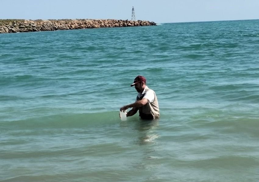 Playas de Tamaulipas, aptas y seguras para recibir a turistas en el verano 2026 1 Playas de Tamaulipas aptas y seguras