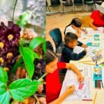 Fortalece Tamaulipas conservaci