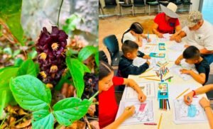 Fortalece Tamaulipas conservaci