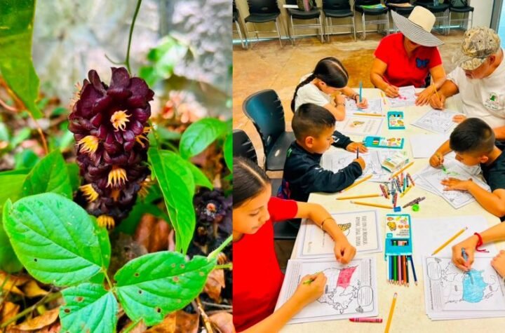 Fortalece Tamaulipas conservaci
