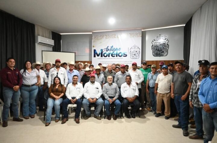 Mejoran actividad ganadera con